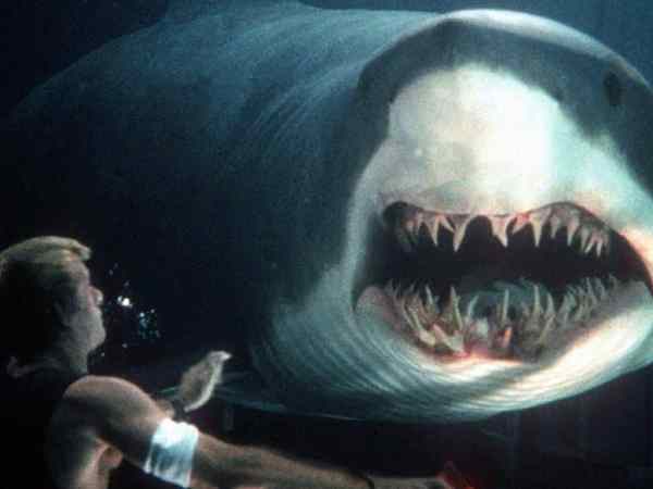 Top 5 Killer Shark Films According To IMDb