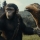Kingdom Of The Planet Of The Apes (2024) - Review